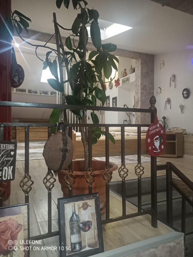 Casa Lucescu Apartment Ватра Дорней Екстериор снимка